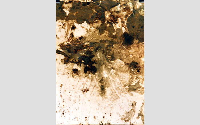 Mould Paintings | Painting 3, 1995